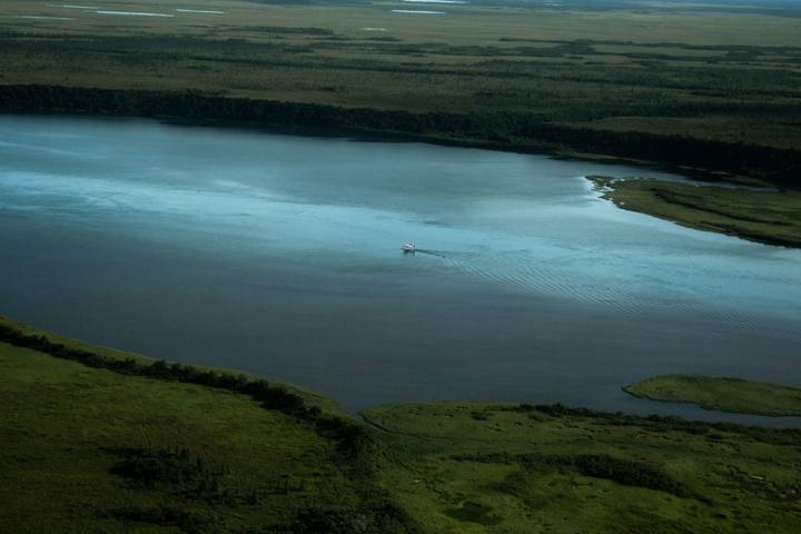 Aerial view of lakes surrounded by forest
